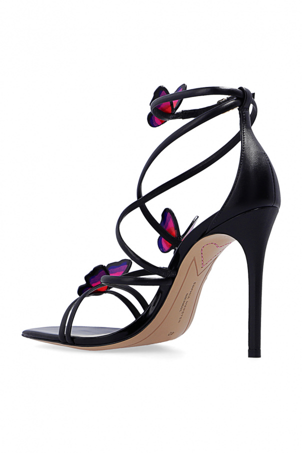 3rd closest planet to the sun